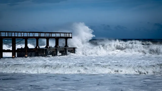 houle - requin -mer Vigilance orange vagues submersion : les mesures prises par les communes