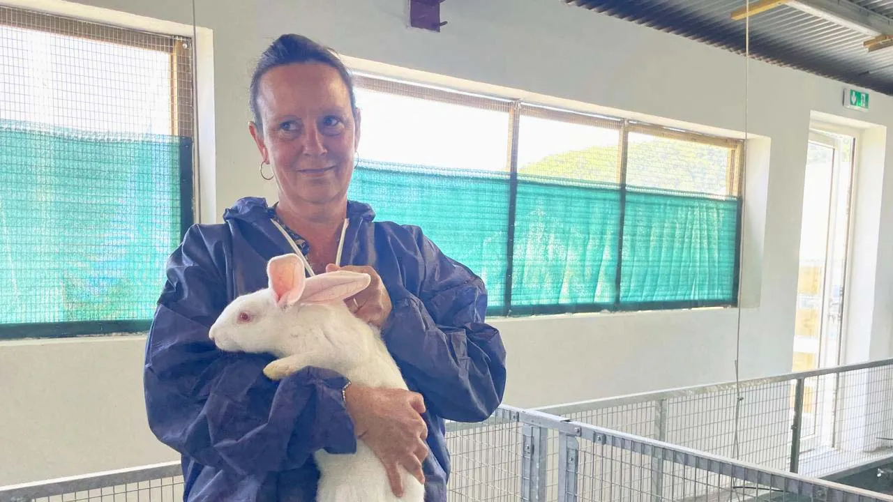 élevage lapin Mme Naze Fin des cages pour le bien-être des lapins