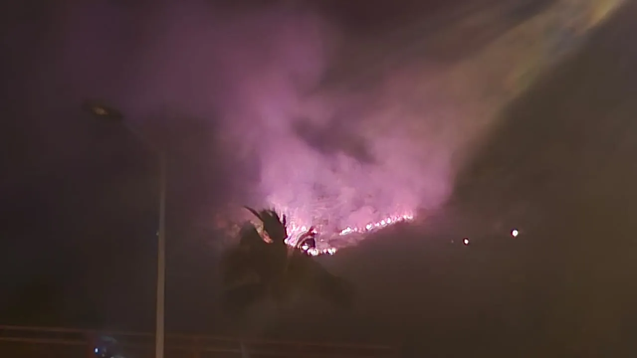 Incendie Plateau Caillou