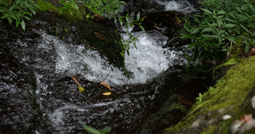Manque d'eau