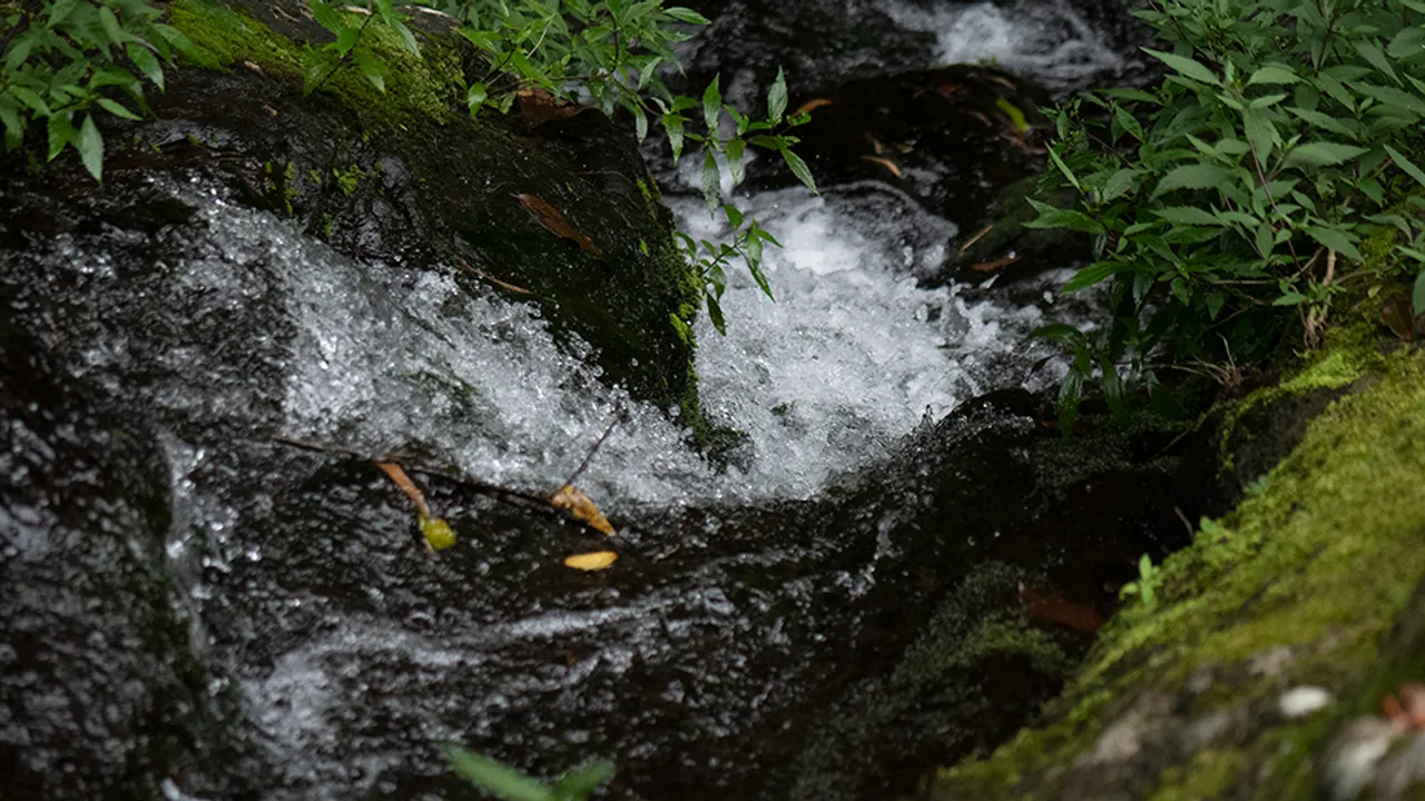 Riviere_Eau Manque d'eau