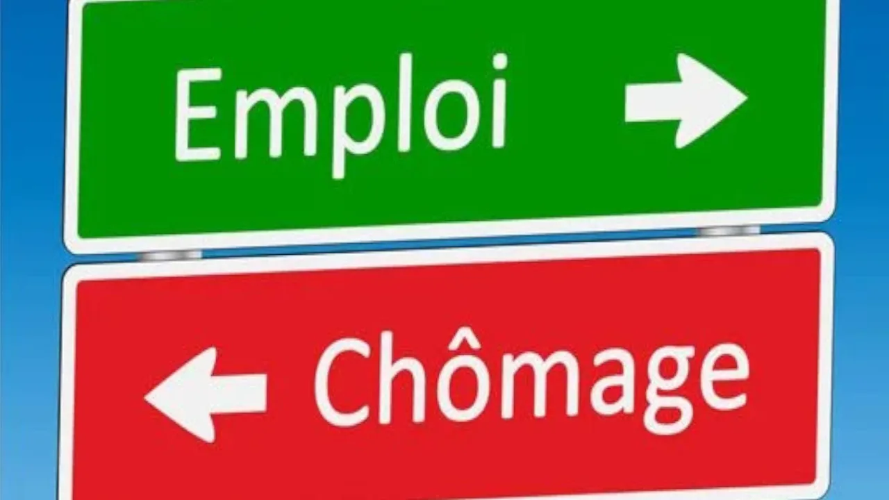 emploi chomage