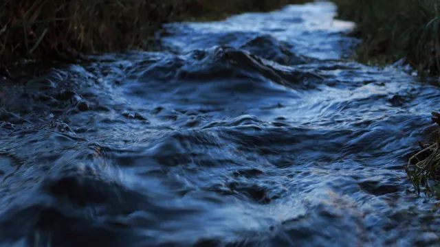 rivière - pêche pêche