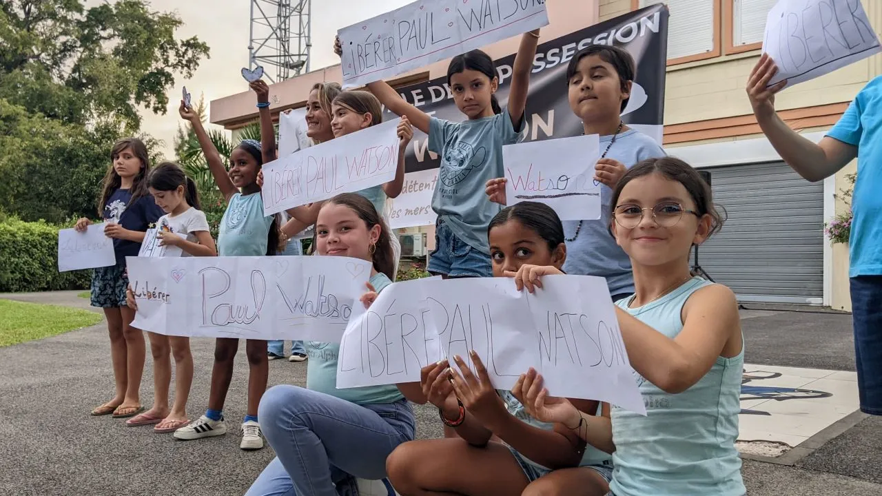 paul watson Flashmob paul watson