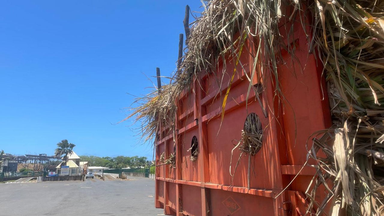 Canne planteurs syndicats