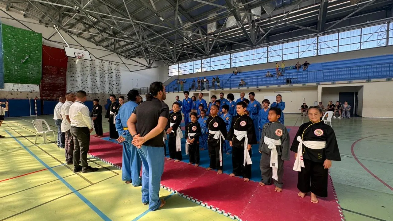 203774b3-4207-4f47-84ba-bc1e9a3abdb2 championnat de la Réunion d'Arts Martiaux Vietnamiens 2024