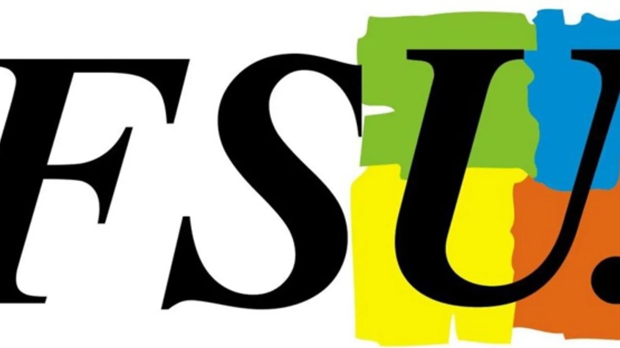 FSU territoriale, fonction publique