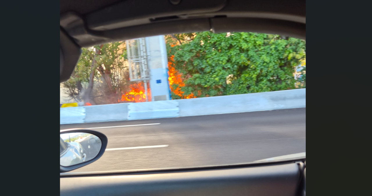 feu de broussailles