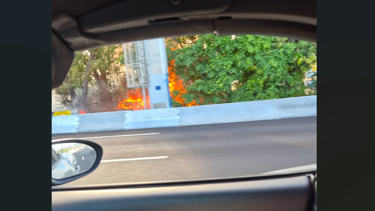 Capture d'écran 2024-11-18 082820 feu de broussailles