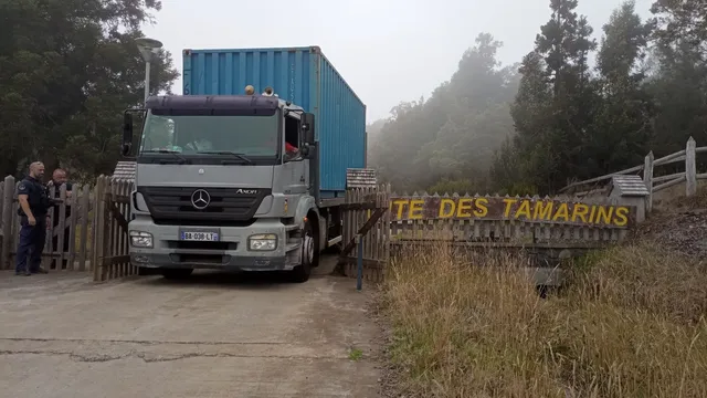 gîte des tamarins