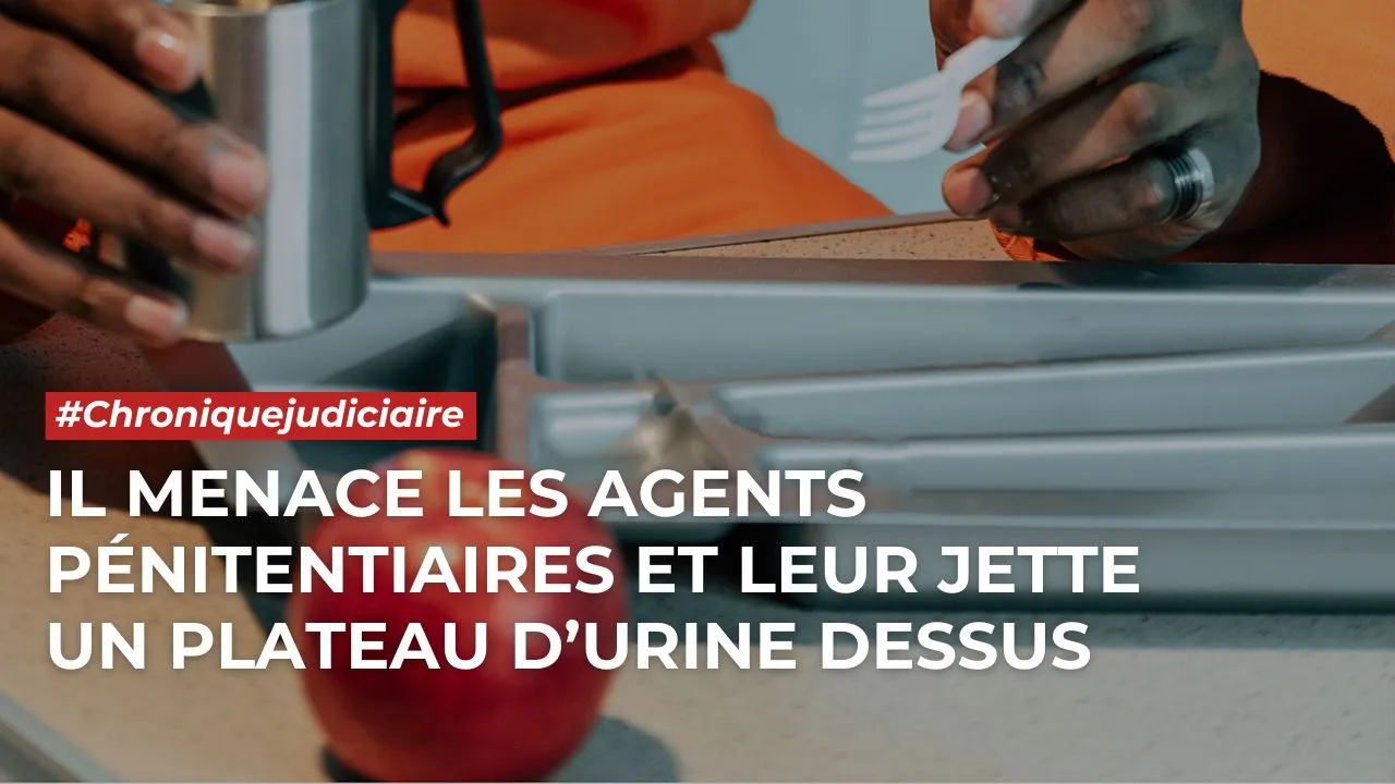 CANEVAS - CHRONIQUE JUDICIAIRE (SITE) (2)