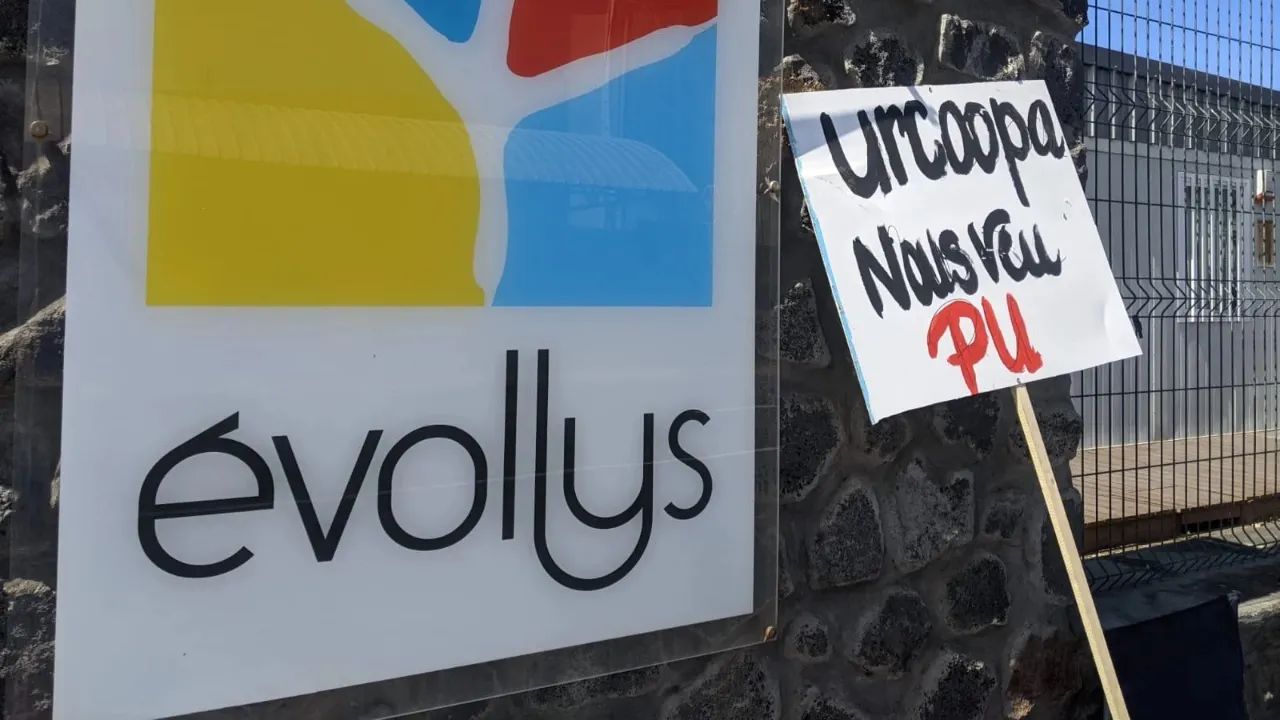 evollys