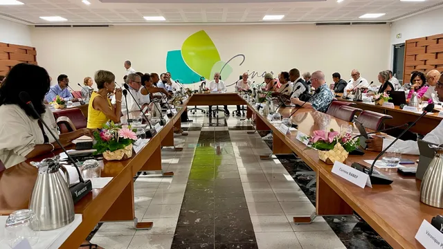 conseil communautaire cinor