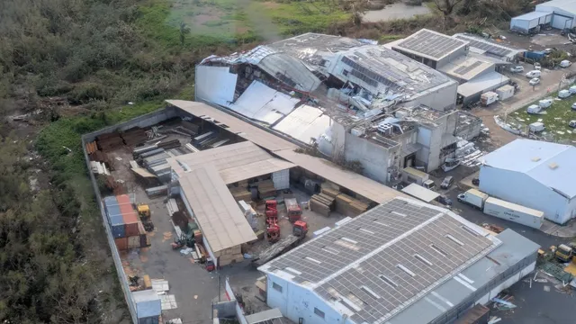 WhatsApp Image 2024-12-18 at 11.21.59 Mayotte