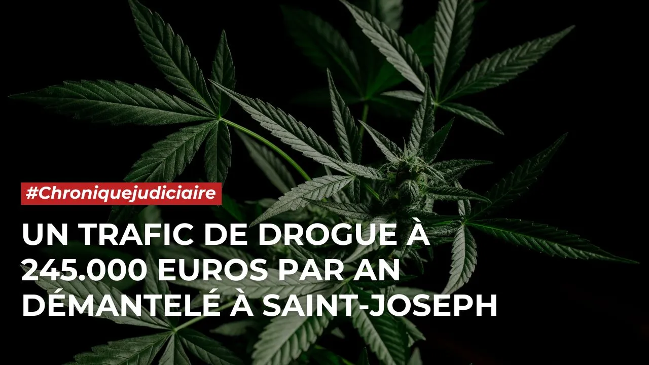 CANEVAS - CHRONIQUE JUDICIAIRE (SITE)