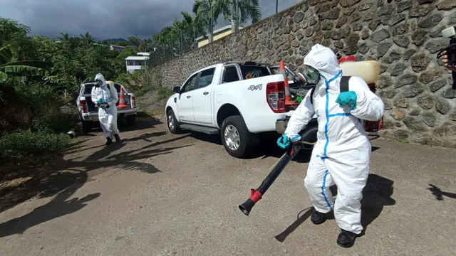 chikungunya agents ARS lutte anti-vectoriel