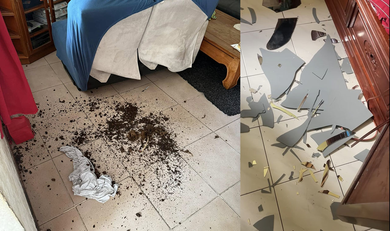 témoignage famille romane autisme crise de colère