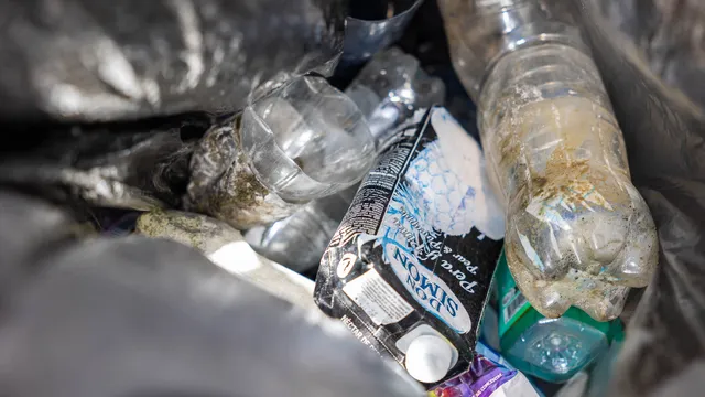 Déchets