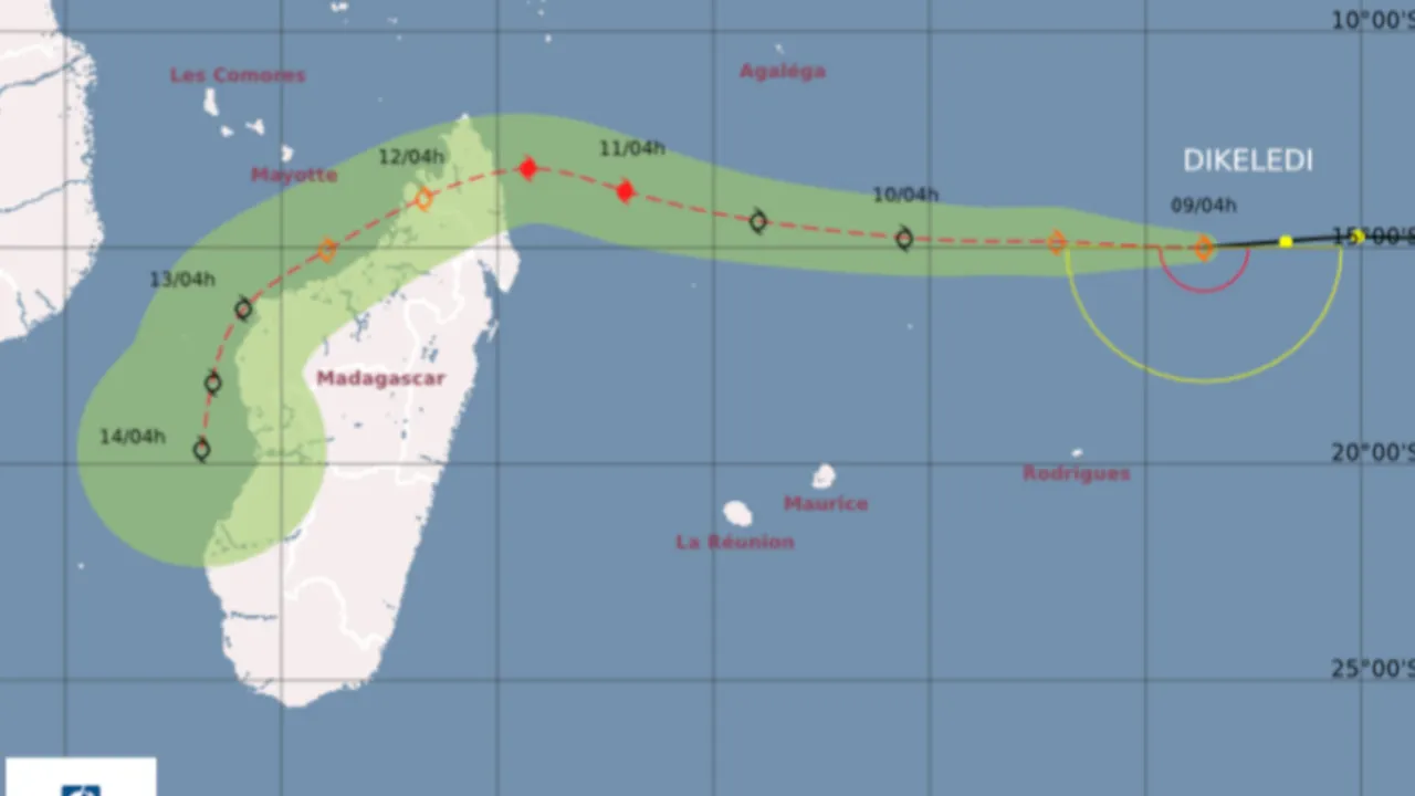 cyclone dilikedi