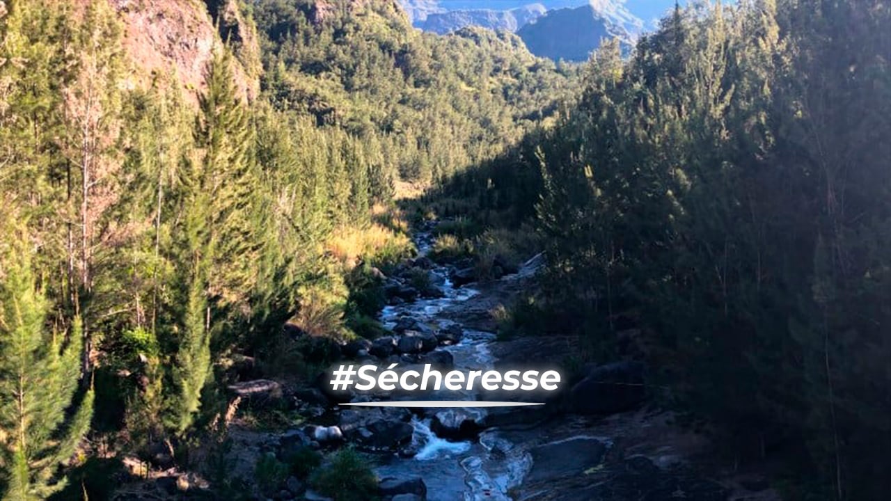 Sécheresse