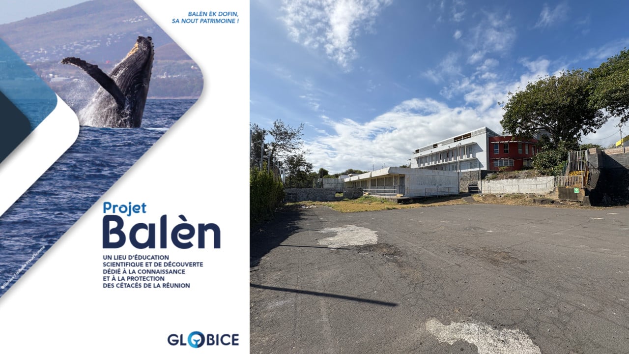 Projet Balèn