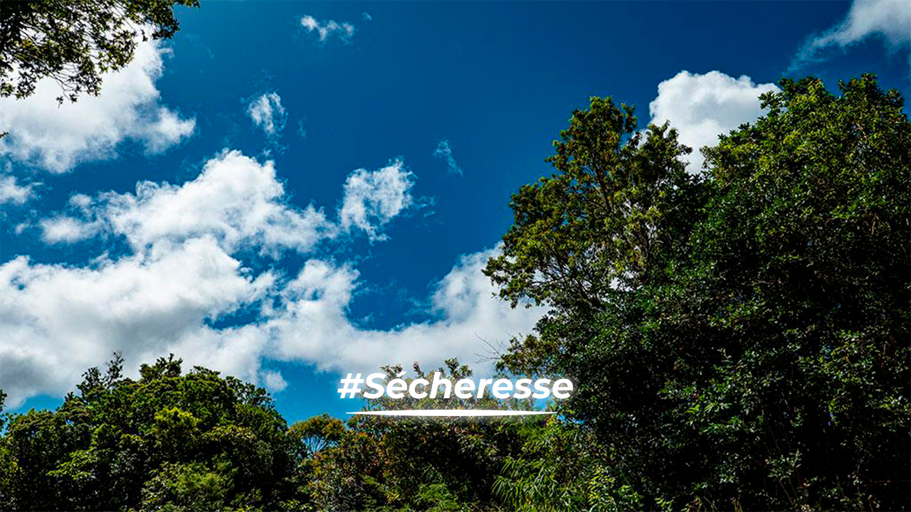 Sécheresse
