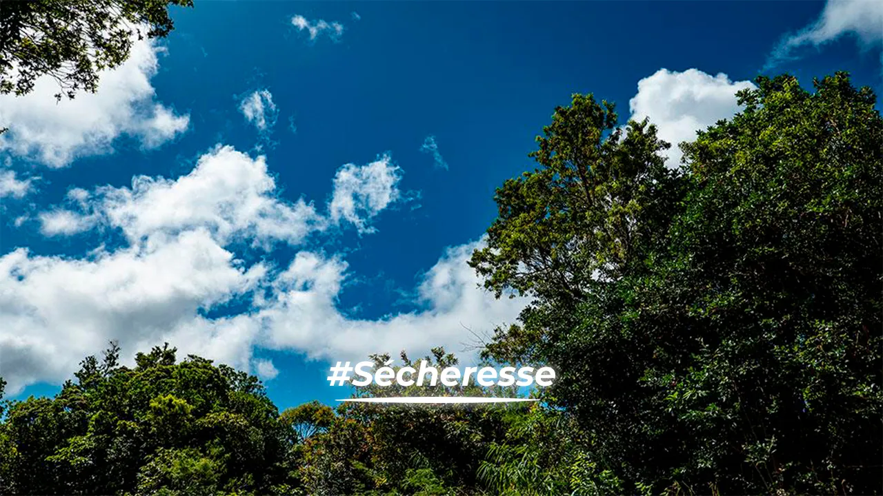 Secheresse Sécheresse