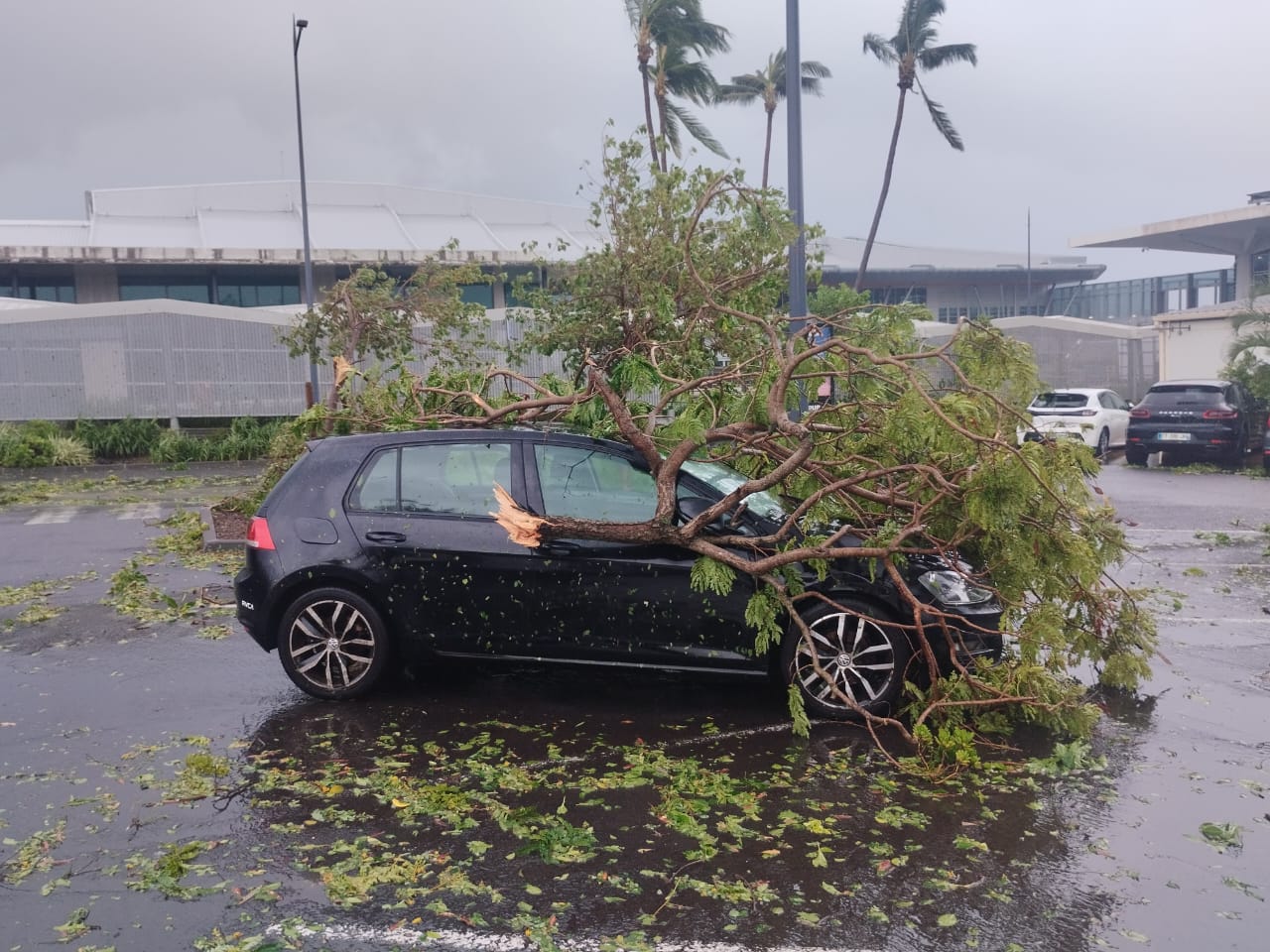 Cyclone