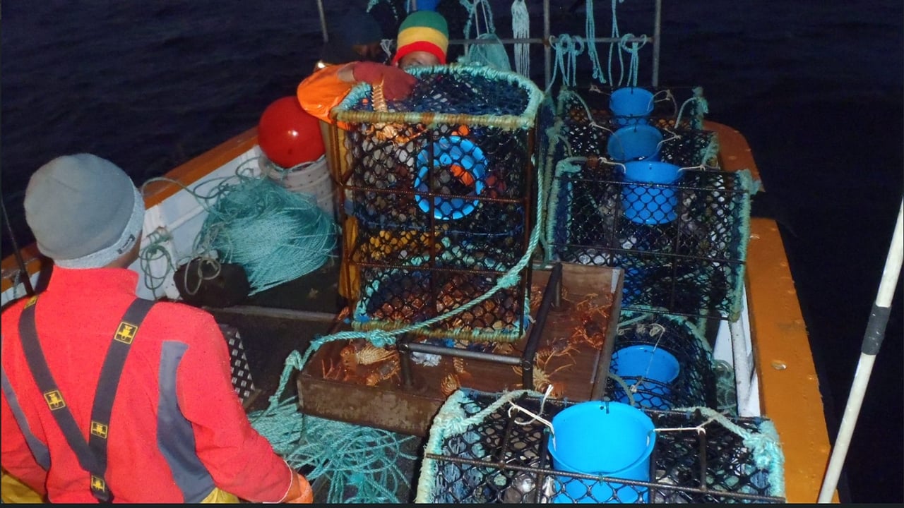 Sapmer, Pêche Avenir