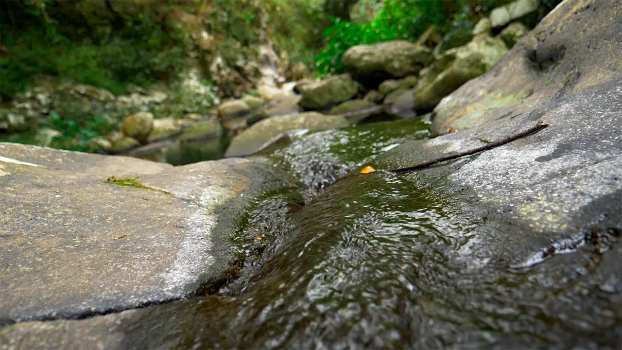 Bassin_Eau_2