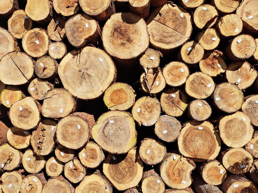 Projet Giroflée pour mieux structurer la filière forêt-bois.