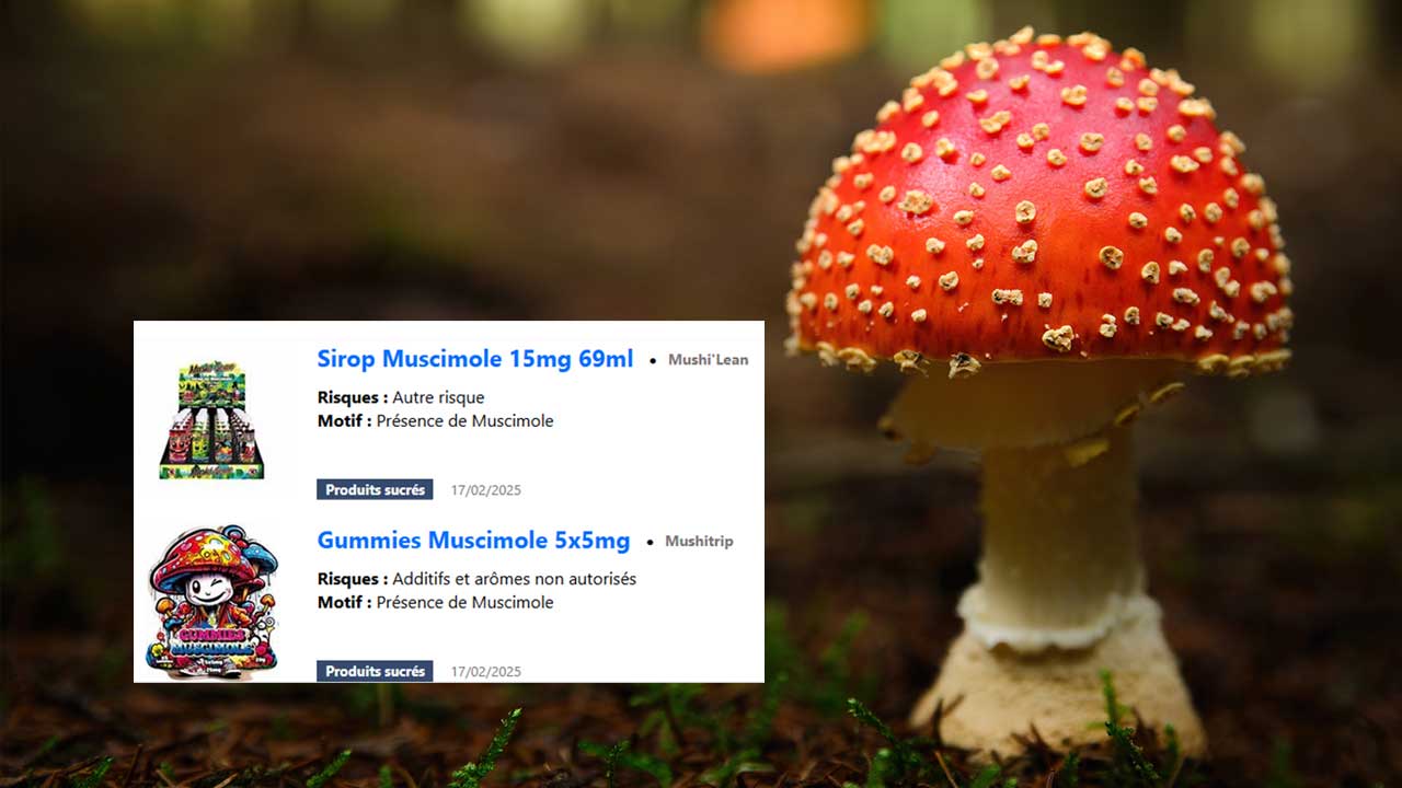 muscimole