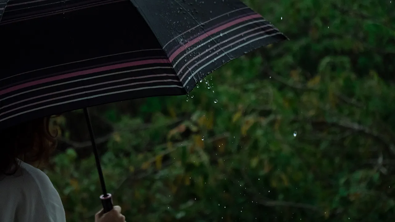 Pluie_Parapluie_Marine_3