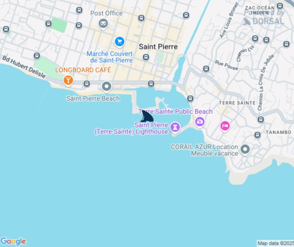 Un requin signalé sur le spot de la jetée de Saint-Pierre