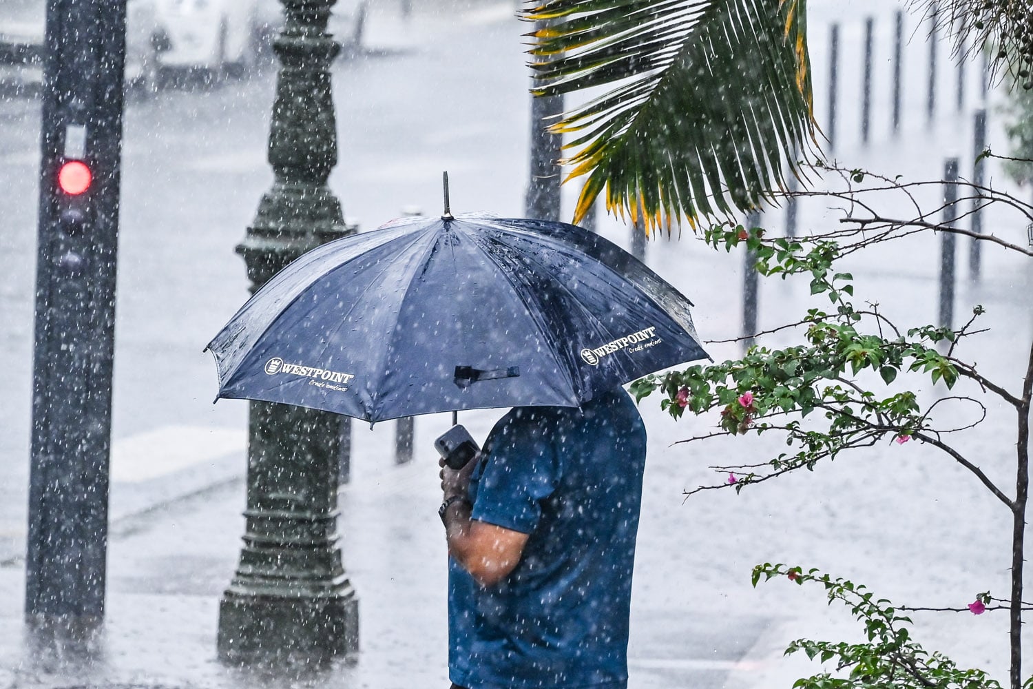 pluies - orages - averses - météo