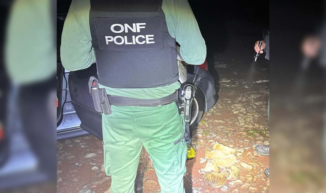 Un braconnier surpris avec 6 tangues.