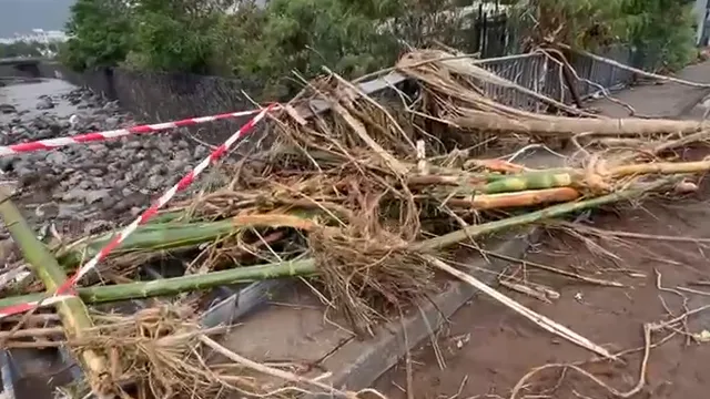 Capture d'écran 2025-03-01 101554