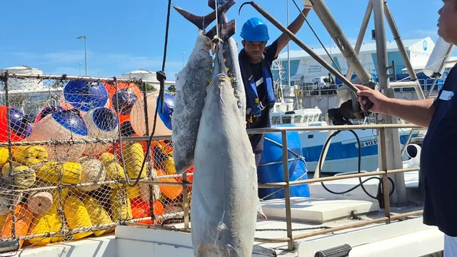 Pêche