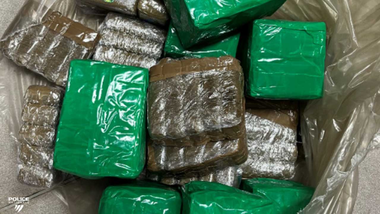 stupéfiants - mules - trafic drogues