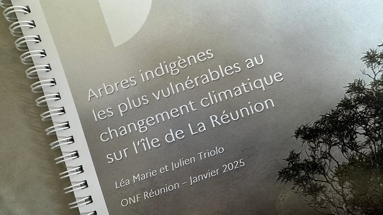 arbres indigènes menacés ONF