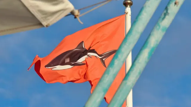La plage de St-Leu fermée après l'observation d'un requin juvénile
