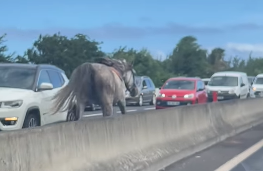 Cheval