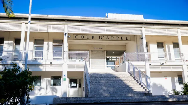Cour d'appel (1)