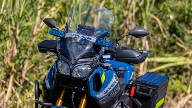 gendarmerie (54)