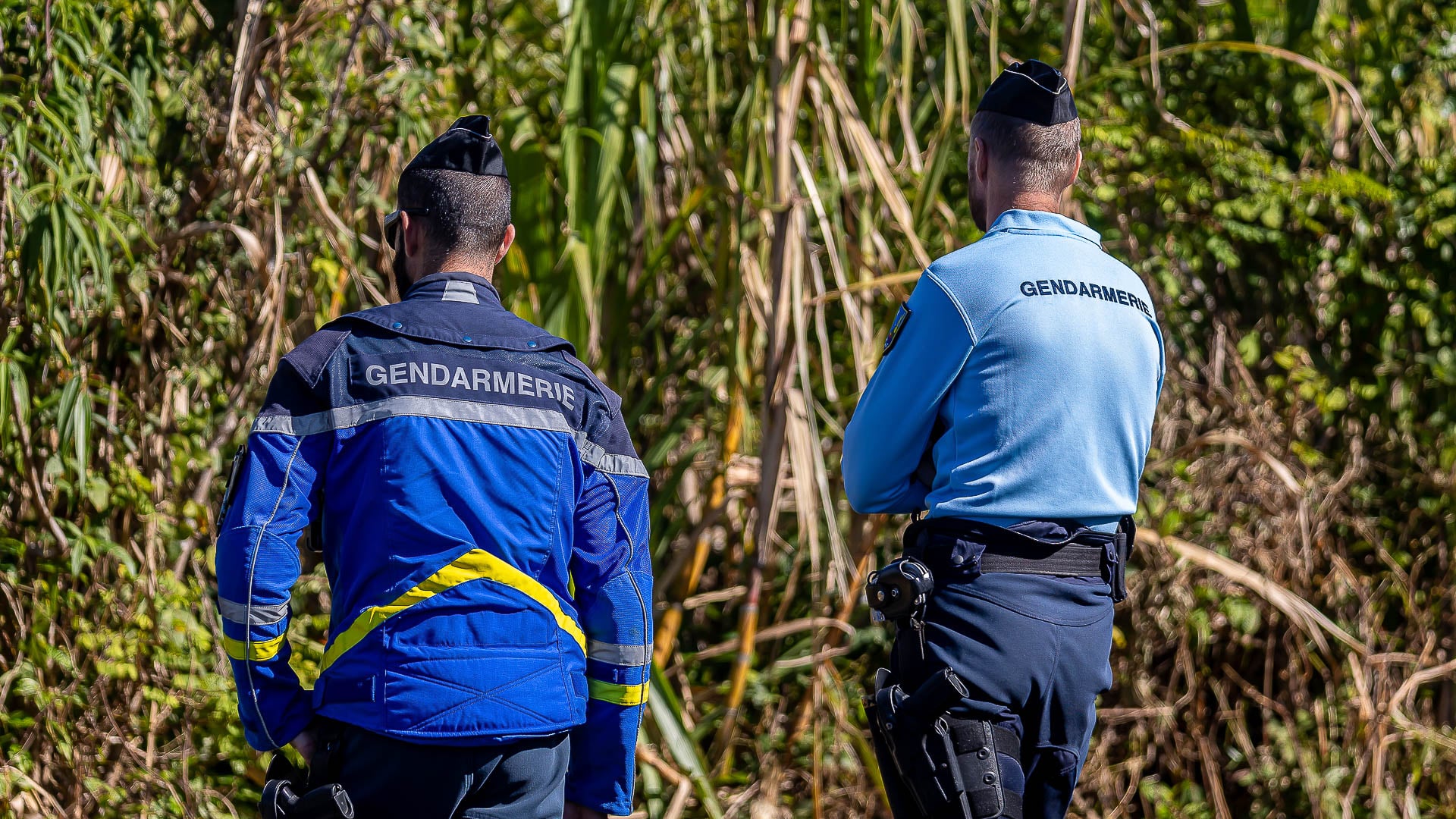 Un refus d'obtempérer lors d'un contrôle de gendarmerie à Sainte-Suzanne.