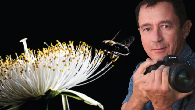 Laurent Lucas