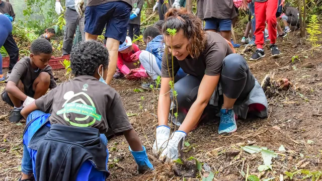 UN-MILLION-ARBRES-1-CAMILLE-CLAIN LEG 1/ L’objectif du million d’arbres planté sera atteint, assure la vice-président du Département, Camille Clain (photo Bruno Bamba/Département de la Réunion).