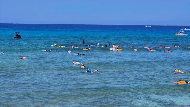 surfeurs / surf