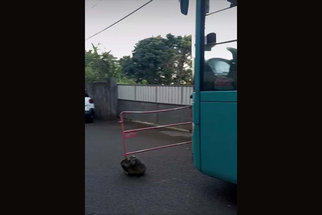 Saint-Louis suppression de ligne de bus