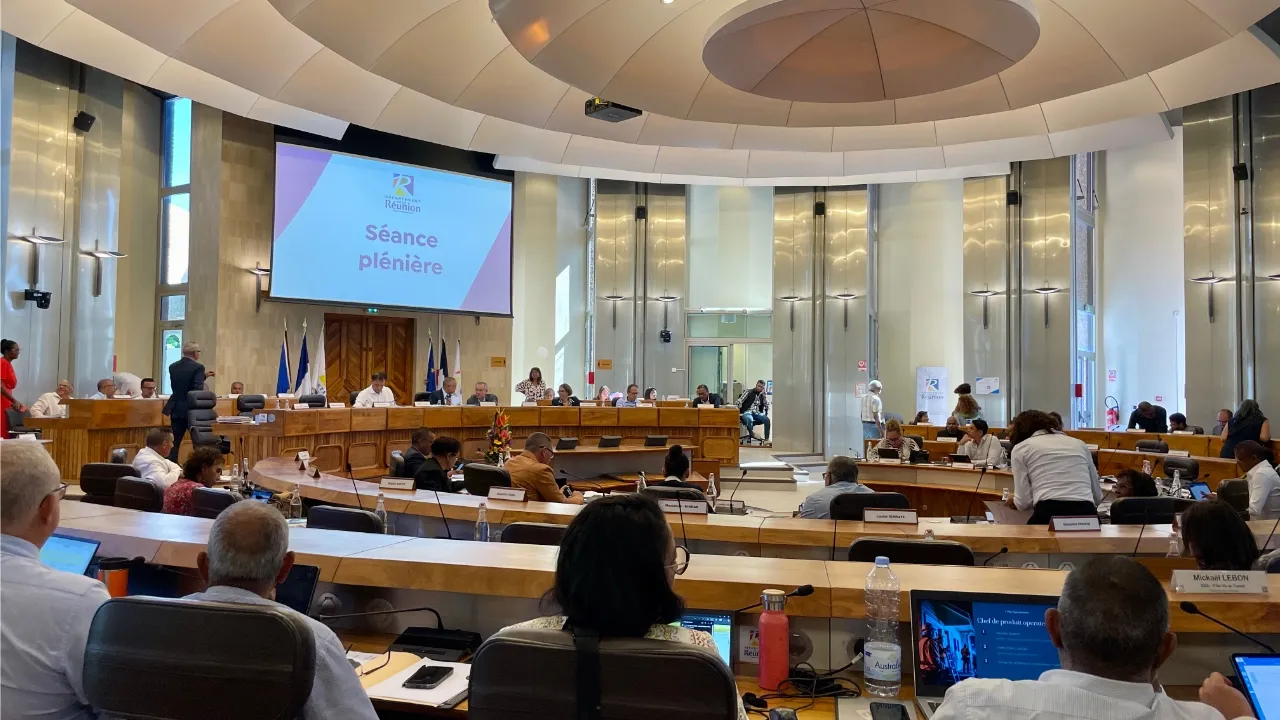 séance plénière DEP juin 2025